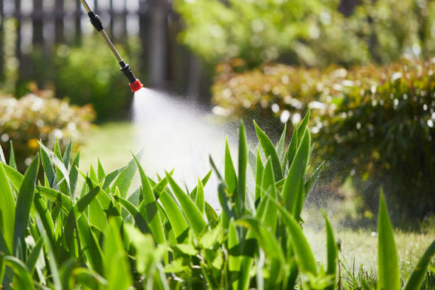 Tamper-Resistant Bait Stations for Rodents in Ellenville
