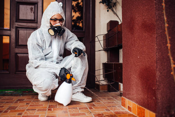 Attic and Crawl Space Rodent Treatment in Ellenville