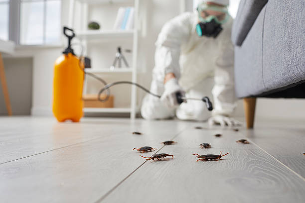 Commercial Rodent Management in Ellenville